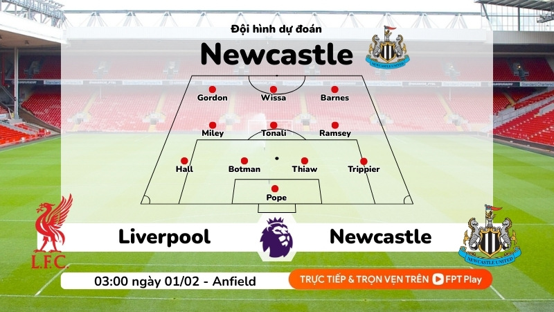 Dự đoán đội hình Newcastle