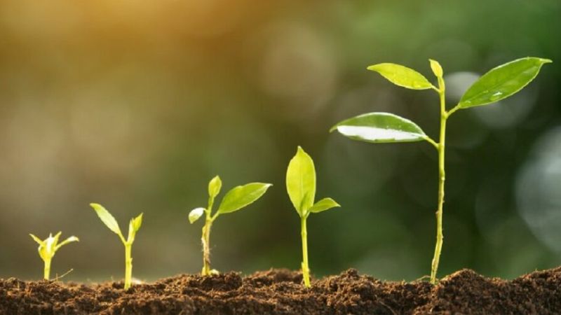 STT hay về cuộc sống đầy ý nghĩa