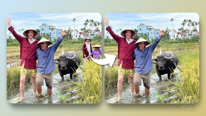 Mô tả ảnh ở đây