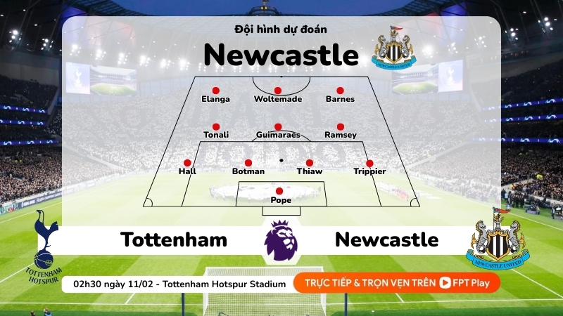 Dự đoán đội hình Newcastle