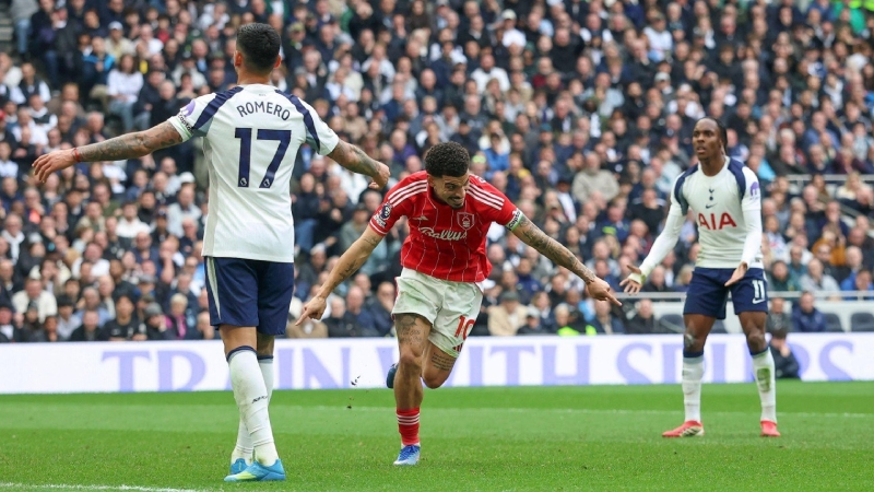 Mô tả ảnh ở đây