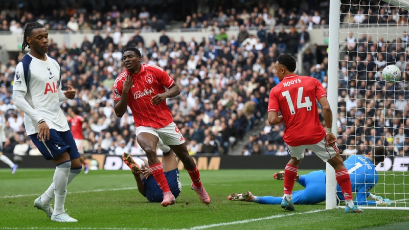 Mô tả ảnh ở đây