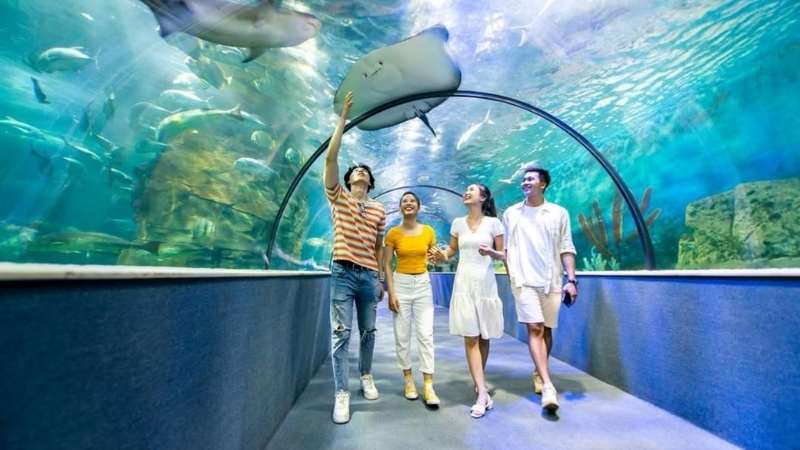 Đường hầm kính tại Thuỷ cung Vinpearl