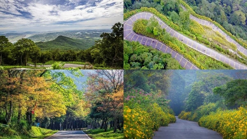 Khung cảnh thiên nhiên tại vườn quốc gia Ba Vì