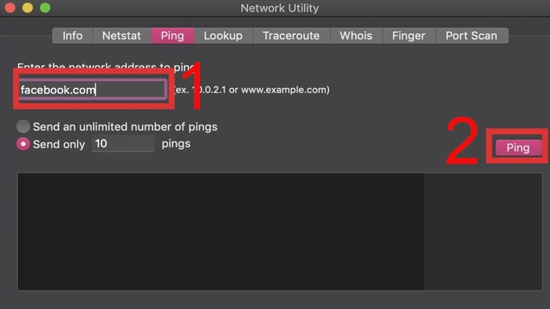 Chọn Ping và nhập địa chỉ IP cần kiểm tra