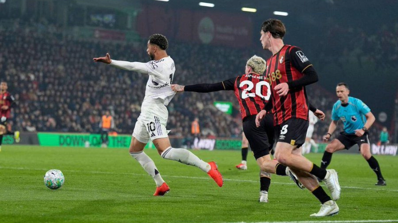 Mô tả ảnh ở đây