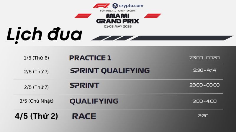 lich-dua-miami-chi-tiet