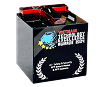 Award Trophy