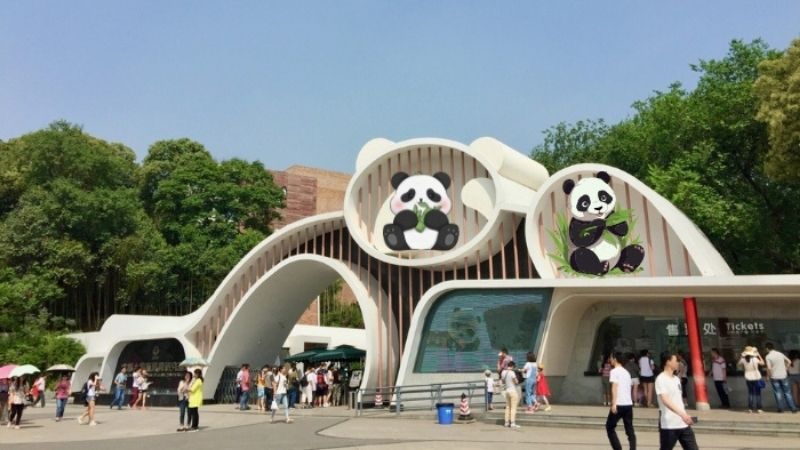 Cổng vào Trung tâm nghiên cứu gấu trúc khổng lồ Thành Đô - điểm đến yêu thích của mọi gia đình khi du lịch Tứ Xuyên.
