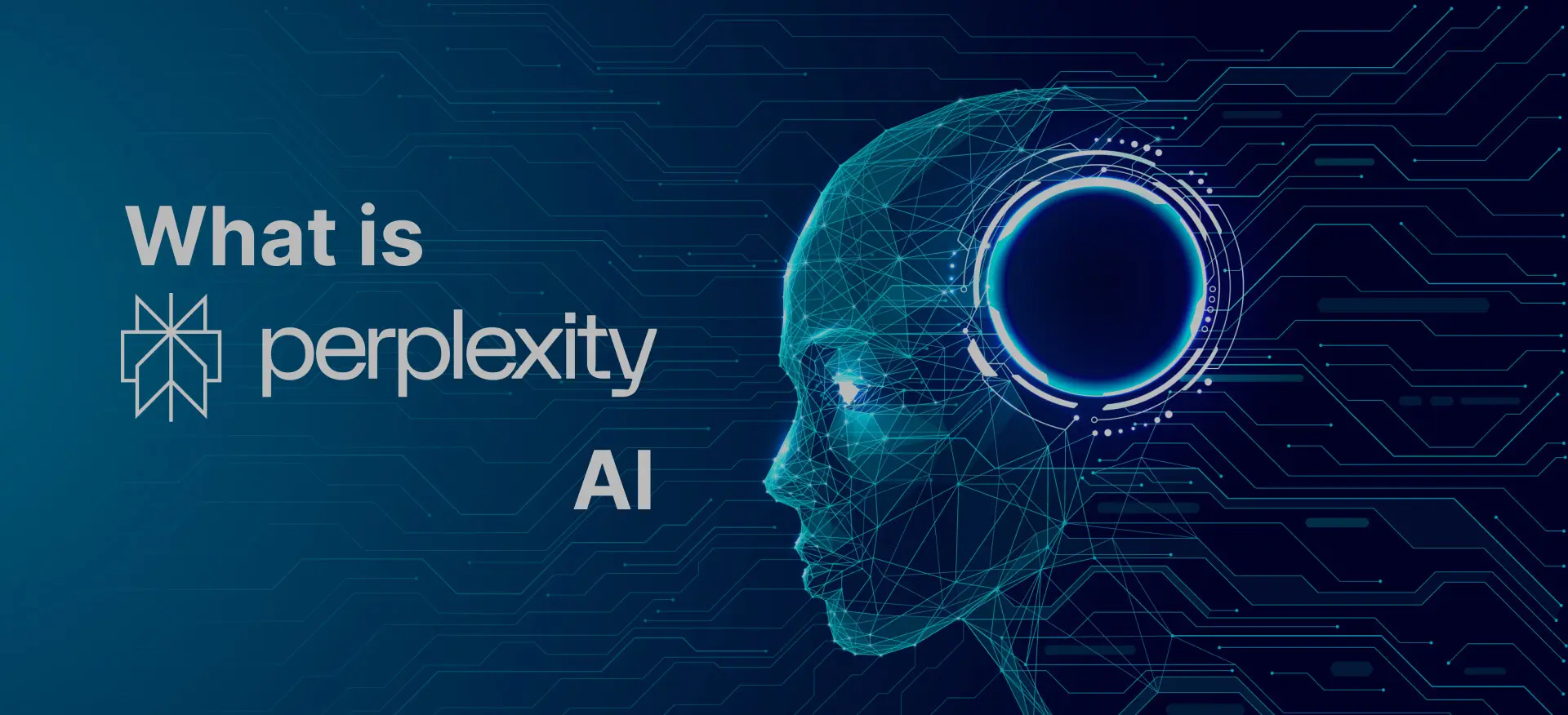 perplexity ai - phan-tich-va-thu-thap-du-lieu-de-tra-loi-cho-nguoi-dung