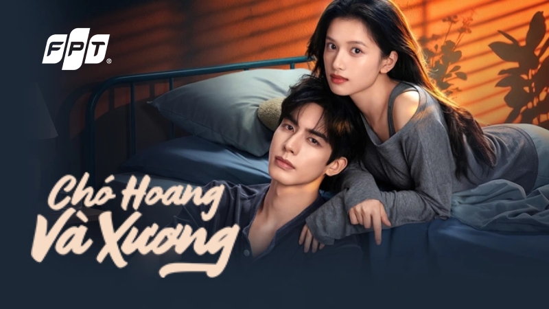 Review phim &ldquo;Ch&oacute; Hoang V&agrave; Xương&rdquo; - Phim ng&ocirc;n t&igrave;nh t&acirc;m điểm Hoa ngữ th&aacute;ng 7