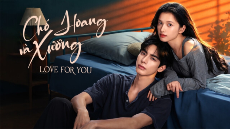 Bộ phim Chó Hoang và Xương với câu chuyện giàu cảm xúc, dễ đồng cảm.