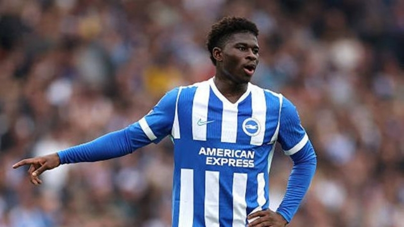 Carlos Baleba thi đấu cho Brighton từ mùa giải 2023/24