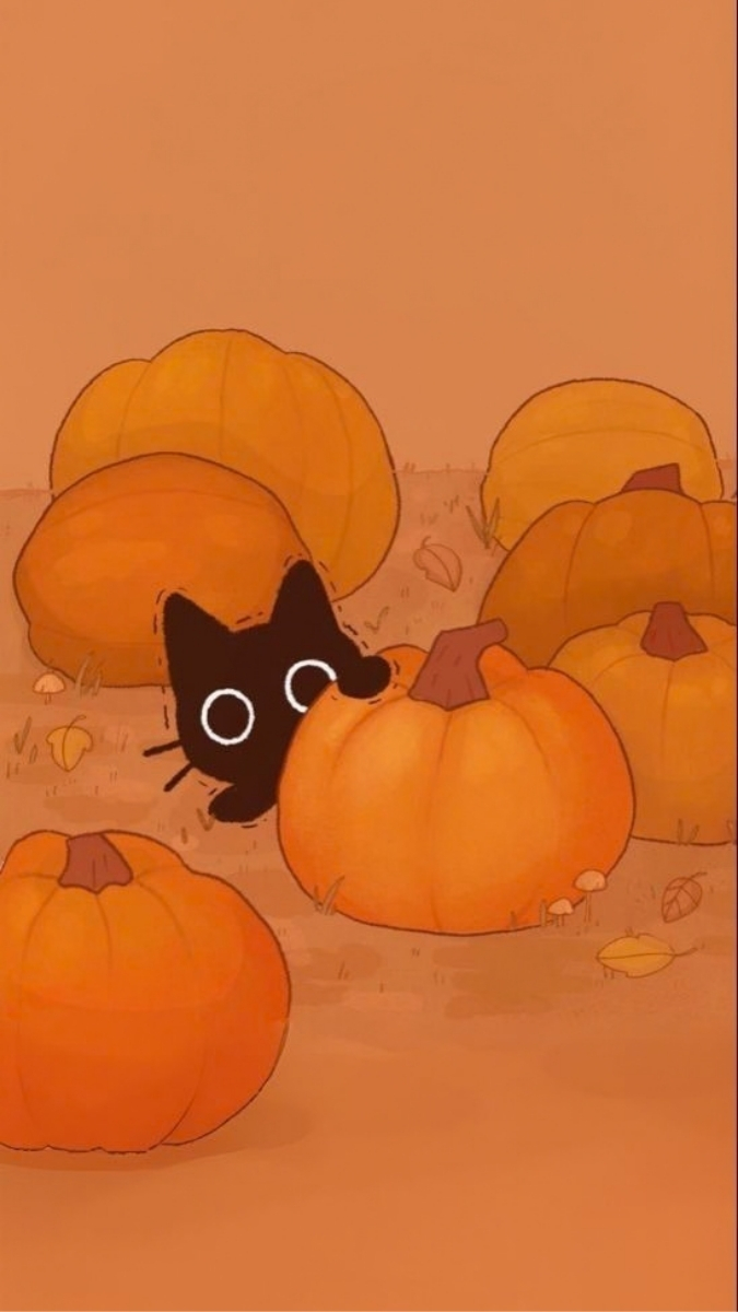 toi-hian-cho-man-hinh-khoa-meo-den-cute
