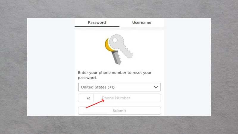 Bạn có thể lựa chọn lấy lại mật khẩu bằng Email hoặc Số điện thoại (Phone Number)