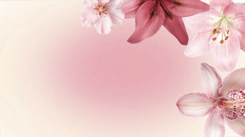 background-su-dung-hinh-anh-bong-hoa