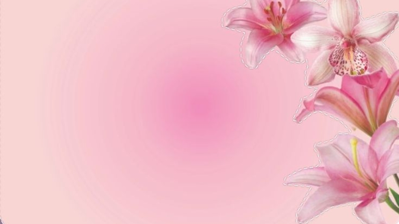 background-su-dung-hinh-anh-bong-hoa (2)