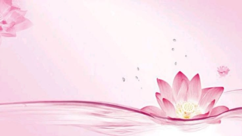 background-su-dung-hinh-anh-bong-hoa (4)