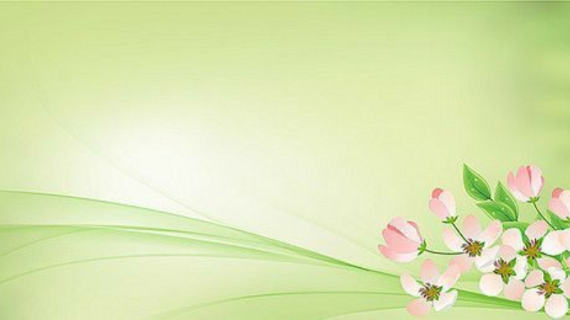 background-su-dung-hinh-anh-bong-hoa (13)