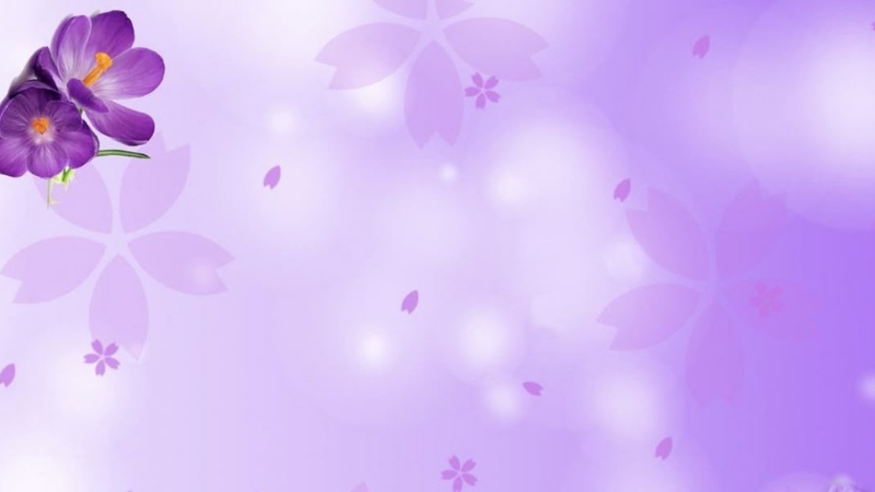 cac-y-tuong-background-mau-tim-mong-mo (5)