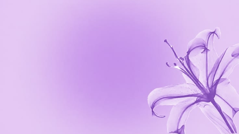 cac-y-tuong-background-mau-tim-mong-mo (7)