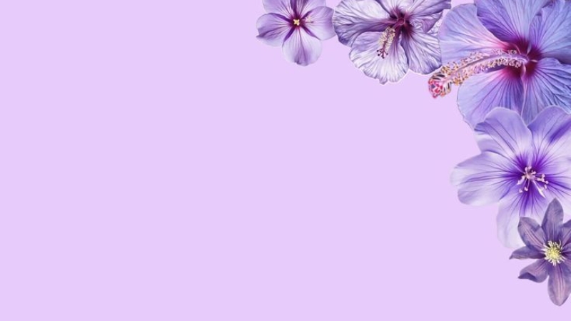 cac-y-tuong-background-mau-tim-mong-mo (8)