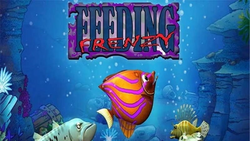 Feeding Frenzy là game Cá Lớn Nuốt Cá Bé quen thuộc trên máy tính đời cũ
