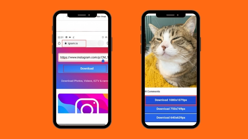 Tải ảnh Instagram về điện thoại bằng website chỉ với vài bước đơn giản