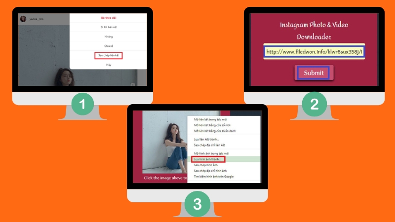 Hướng dẫn tải ảnh Instagram về máy tính bằng liên kết bài viết