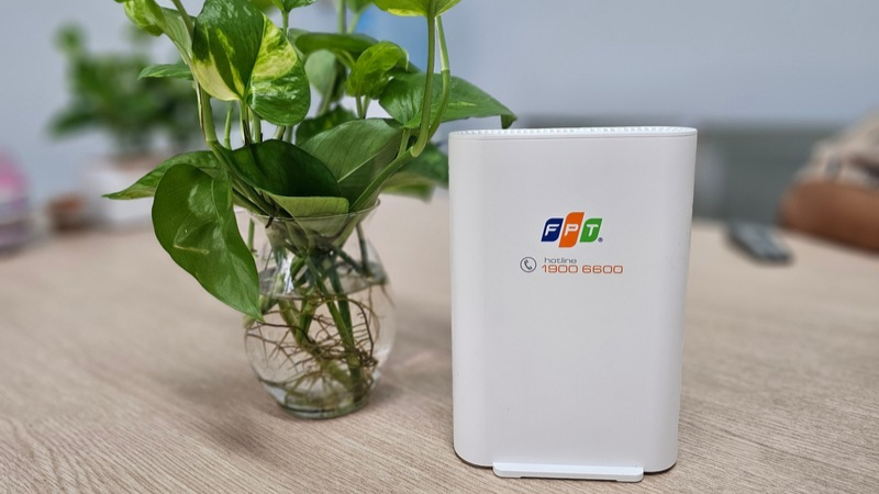 Access Point FPT