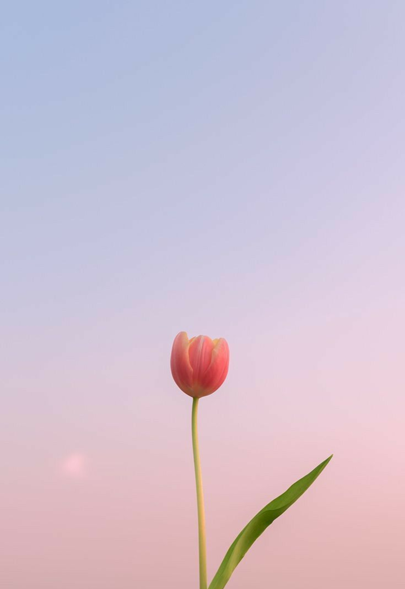 inh-nen-iphone-duo-toi-gian-sang-trong-10