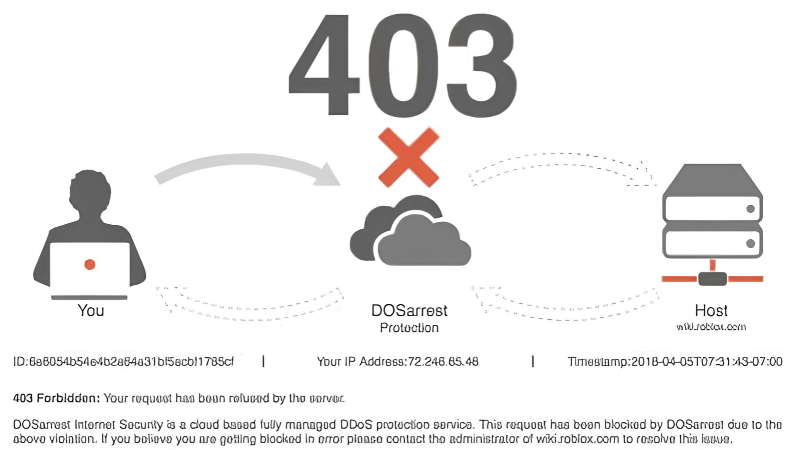 Kiểm tra cấu hình và phân quyền website định kỳ giúp hạn chế lỗi 403 Forbidden tái diễn