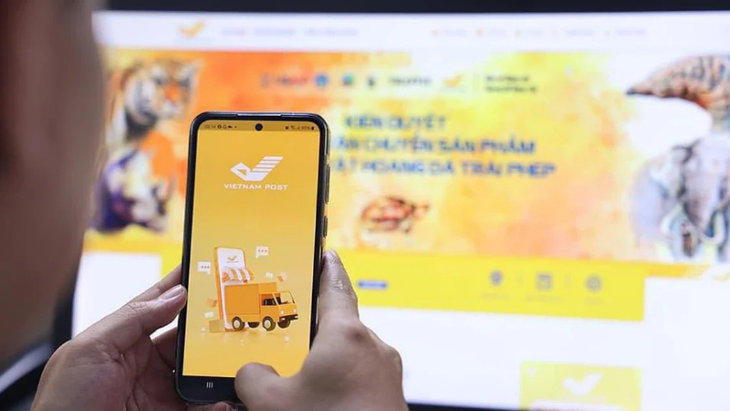 Một số lỗi thường gặp khi tra cứu mã vận đơn bưu điện và cách xử lý