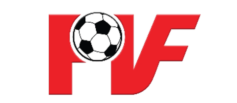 Công ty TNHH Đầu tư và phát triển tài năng bóng đá Việt Nam (PVF)