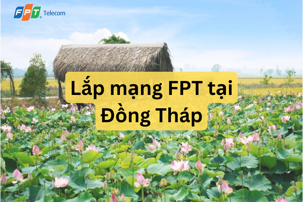 Lắp Internet Wi-Fi FPT tại Đồng Tháp tốc độ cao, ổn định, nhiều ưu đãi hấp dẫn cho gia đình, doanh nghiệp