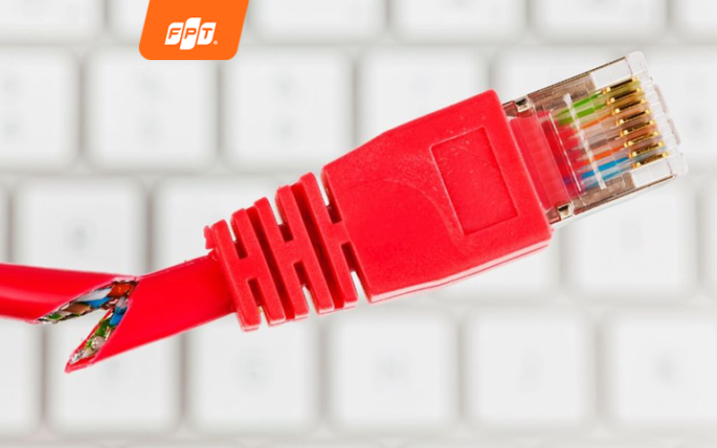 dây cáp mạng bị đứt khiến thiết bị ngắt mạng