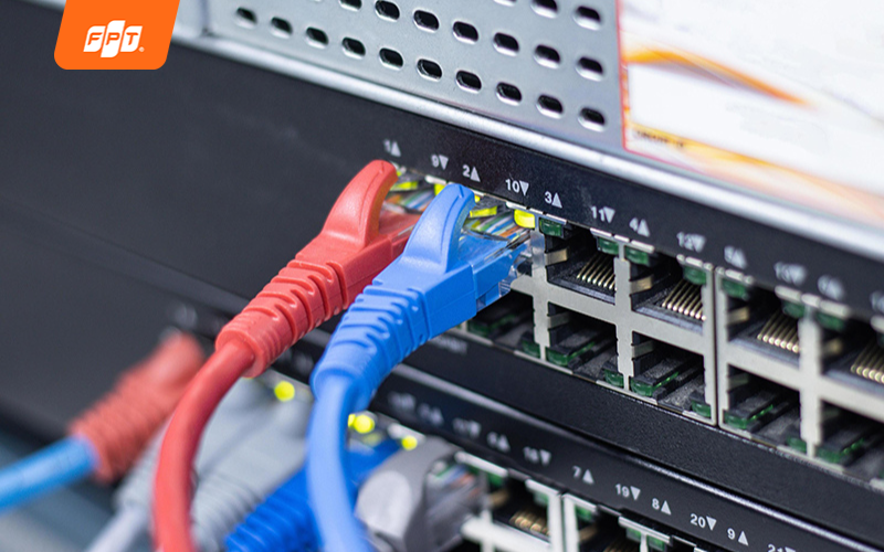 dây truyền dữ liệu trong mạng LAN