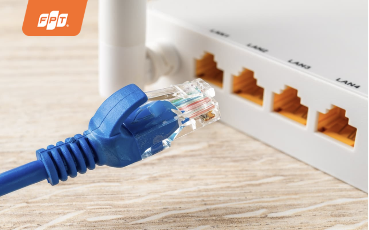 các loại cáp mạng hiện nay