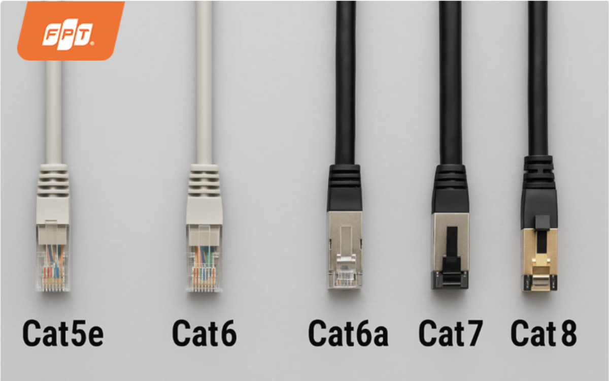 các loại dây cáp mạng