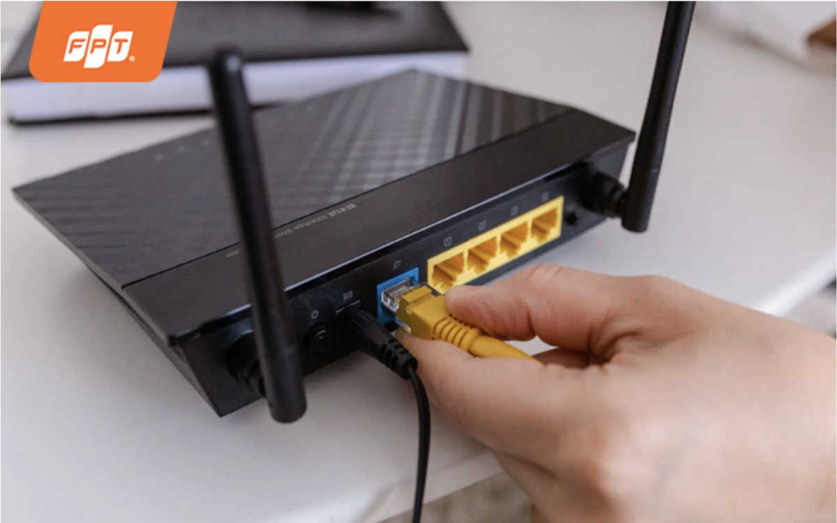 các loại dây cáp mạng hiện nay