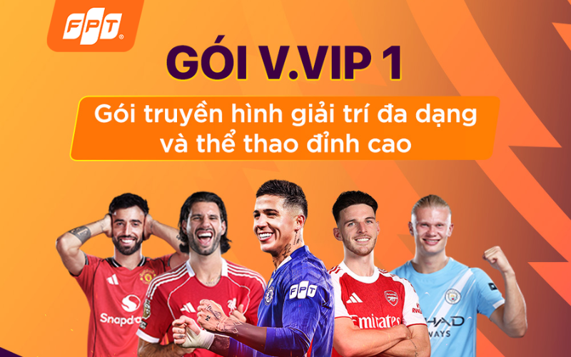 gói VVIP FPT