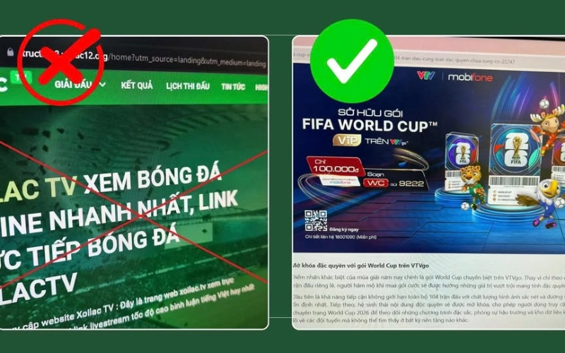 xem world cup 2026 miễn phí