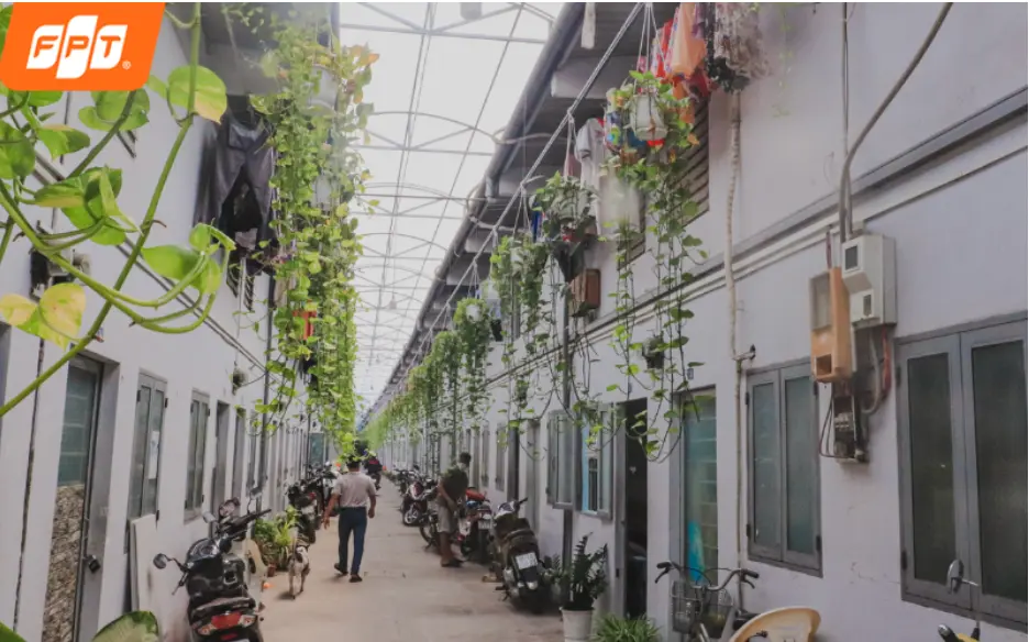 Lắp Wifi FPT giá rẻ chuẩn Wifi 6 cho phòng trọ công nhân sinh viên phường Đông Hưng Thuận