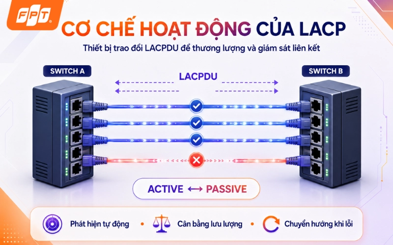 1787803809_LACP-la-gi-3.webp