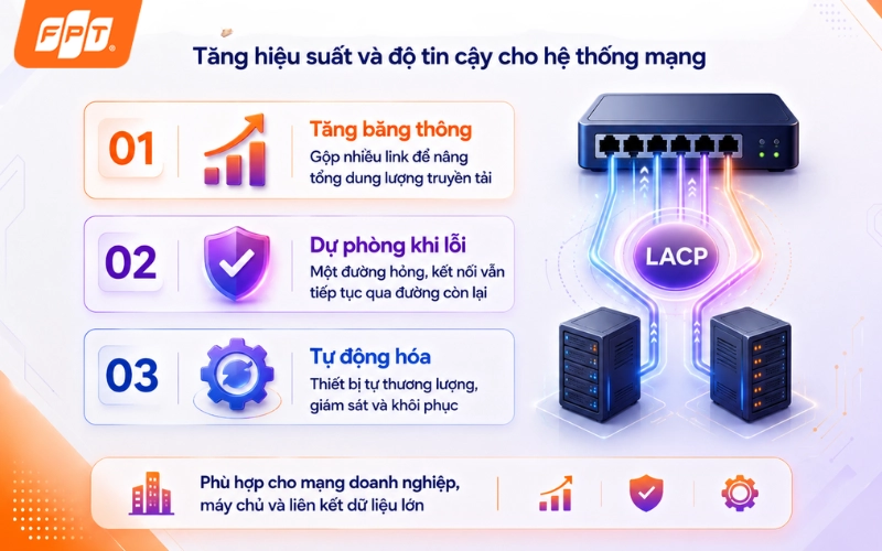 1787803850_LACP-la-gi-4.webp
