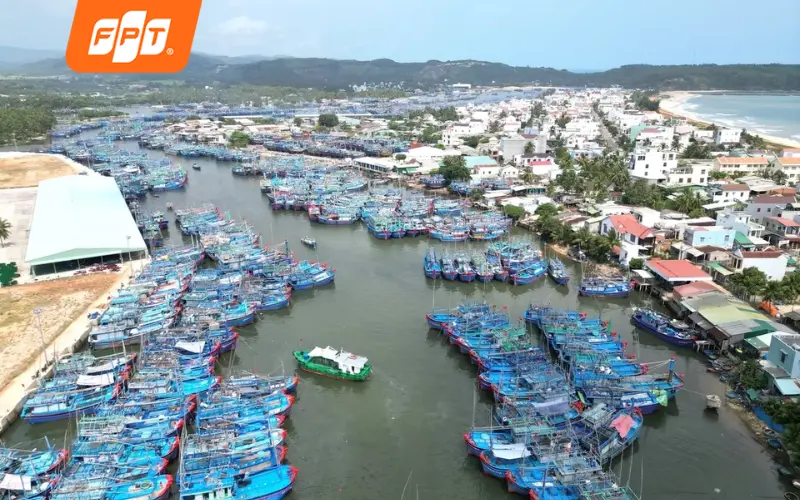 Cảng cá Cát Lở và khu dân cư mới dọc trục cửa ngõ vào Vũng Tàu, phường Phước Thắng