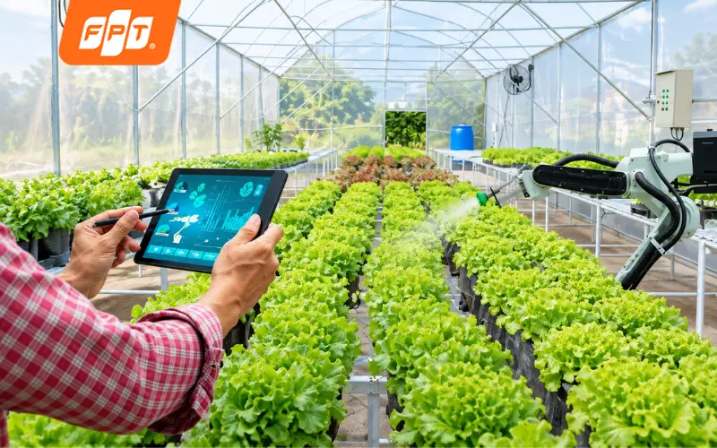 Nông dân dùng điện thoại điều khiển hệ thống tưới tự động trong nhà màng ở Hòa Hiệp.